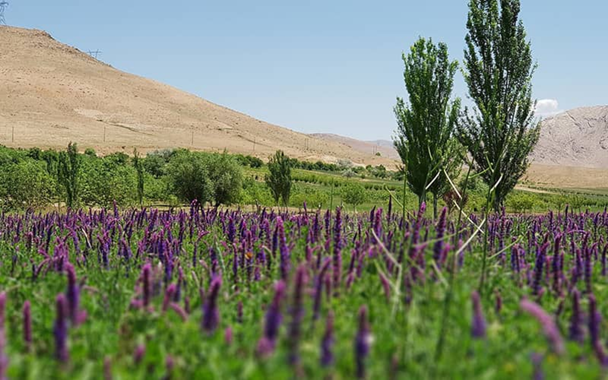 مناظر تماشایی تالاب چغاخور