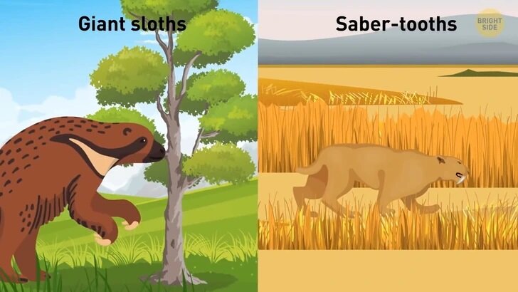 اگر انسان ها نبودن این حیوان بر کره زمین حکومت می کرد؟