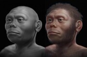 بازسازی چهره انسان عجیب شبیه به هابیت با قدمت ۱۸ هزار سال + عکس