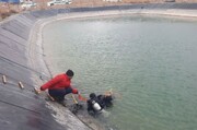 مرگ دلخراش جوان ۲۴ ساله درپی غرق شدن در فلاورجان