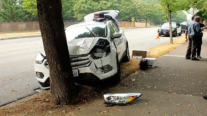 تصادف وحشتناک خودرو با درخت به دلیل طوفان + فیلم