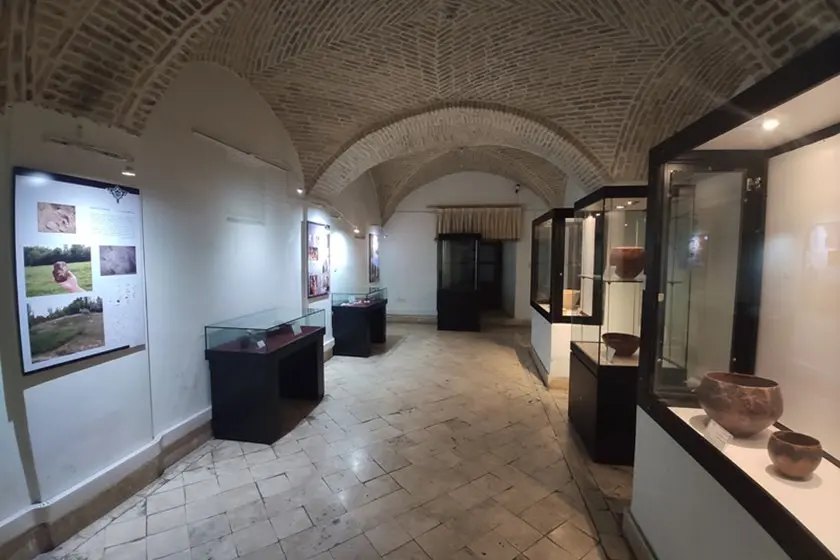 انسان نمکی کجاست؟