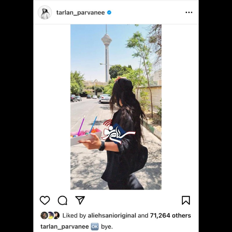 ترلان پروانه