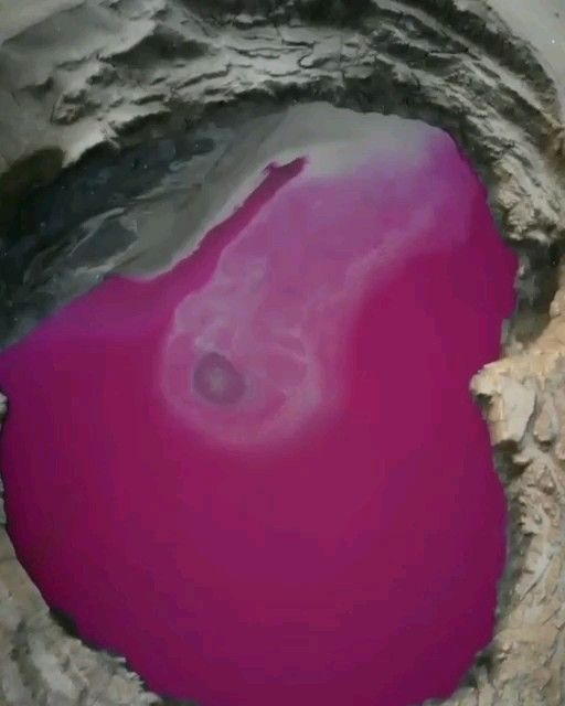 گلفشان تماشایی نفتلیجه