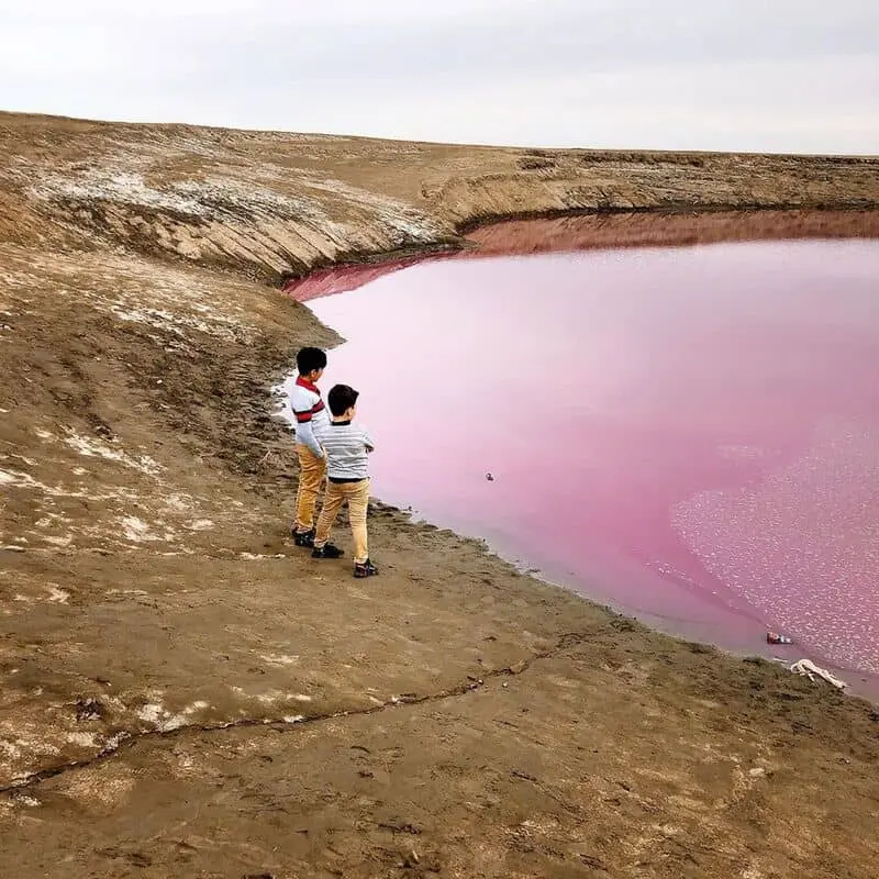 گلفشان تماشایی نفتلیجه