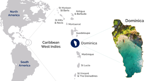 پاسپورت دومینیکا چیست