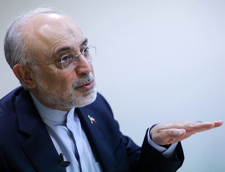 علی اکبر صالحی: اگر ایران قصد اوج گرفتن دارد، باید تکلیف روابط بین‌ الملل خود را روشن کند