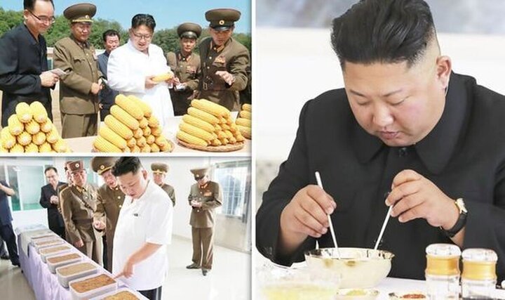 لو رفتن غذاهای مورد علاقه و لاکچری رهبر کره شمالی