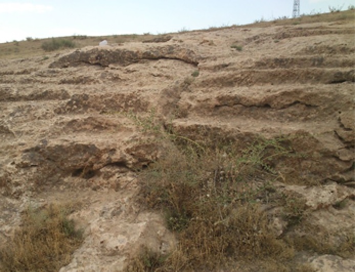 محوطه تاریخی و با ارزش برده کنته
