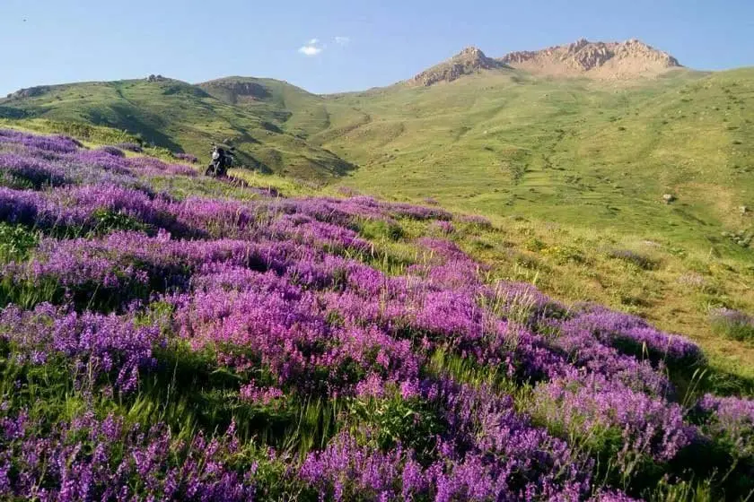 لرد، روستایی بزرگ در خلخال