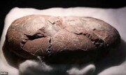 کشف تخم‌های عجیب در این غار | عکس دیده نشده از تخم دایناسور