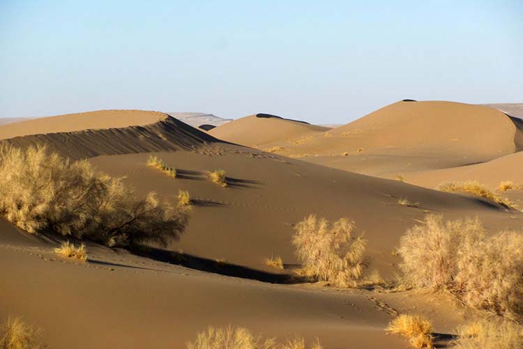 کویری زیباتر در اردکان