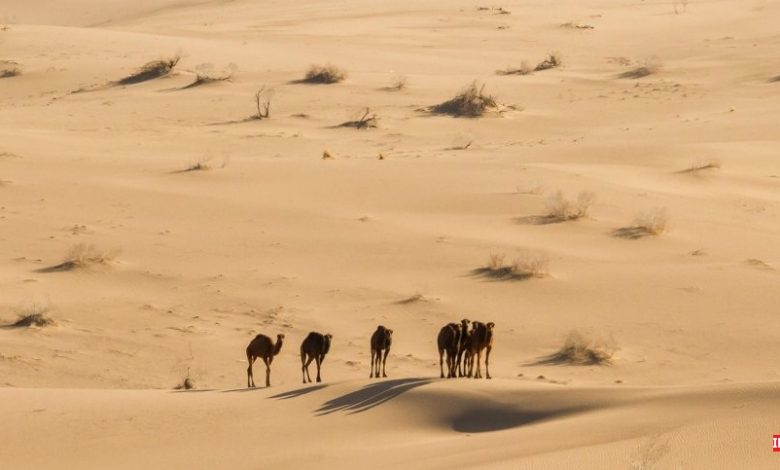 کویری زیباتر در اردکان