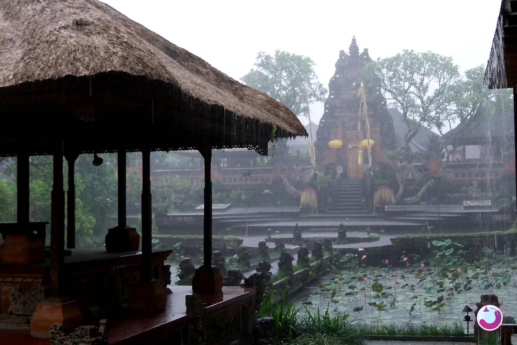 با چالش بارش باران در زمان سفر به بالی چه باید کرد؟