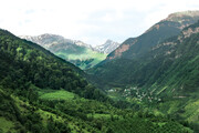 نماهای حیرت انگیز از زیباترین جنگل مازندران + عکس