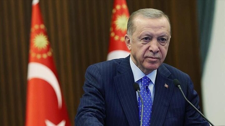 اردوغان اعلام کرد برای توقف توافق غلات تلاش می‌کند