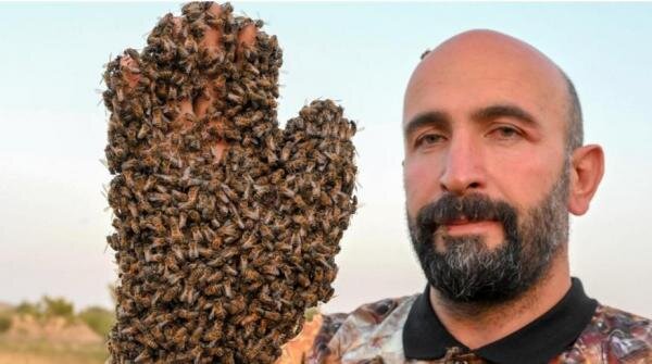 ثبت نام مرد زنبوری در کتاب گینس + رکوردشکنی
