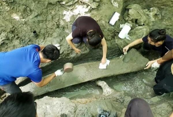 کشف استخوان‌های حیوان عظیم الجثه در جنگل‌های تایوان + فسیل دایناسور است؟ / عکس
