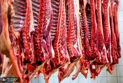 واردات کنیایی هم گرانی گوشت را مهار نکرد