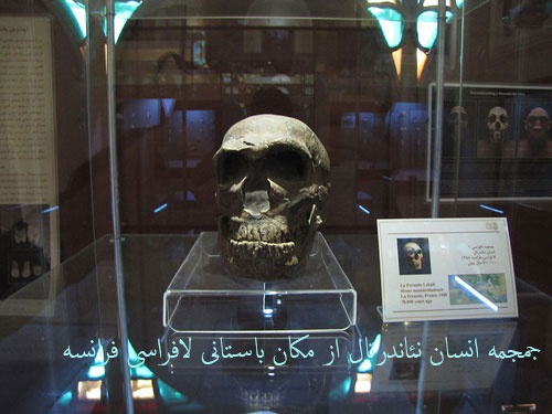 پنجره‌ای به عصرهای گم‌شده / بازدید از موزه پارینه سنگی کرمانشاه