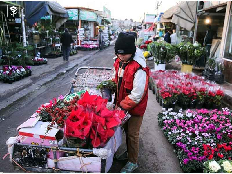 خرید اینترنتی از بازار گل محلاتی