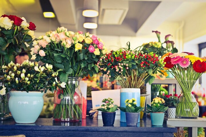 خرید گل و گیاه ارزان در تهران