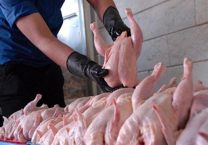 کاهش ۵۰ هزارتومانی قیمت مرغ از امروز؟ + قیمت روز مرغ در بازار دوشنبه ۹ مرداد ۱۴۰۲