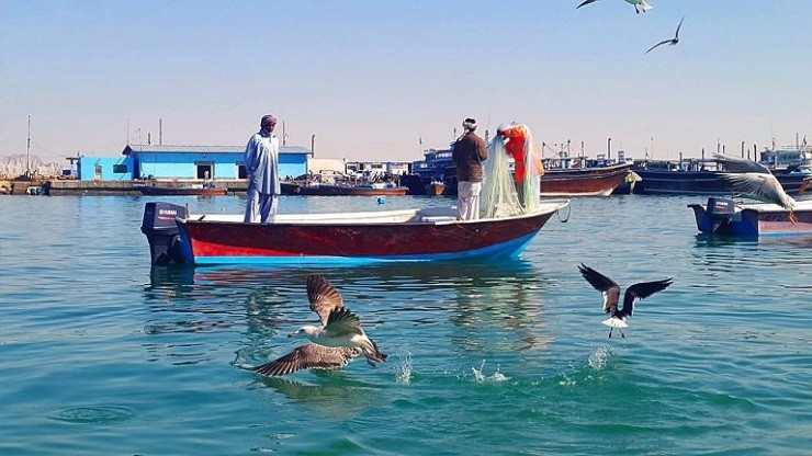 درخشش بیابان دریایی چابهار در آغوش اقیانوس هند