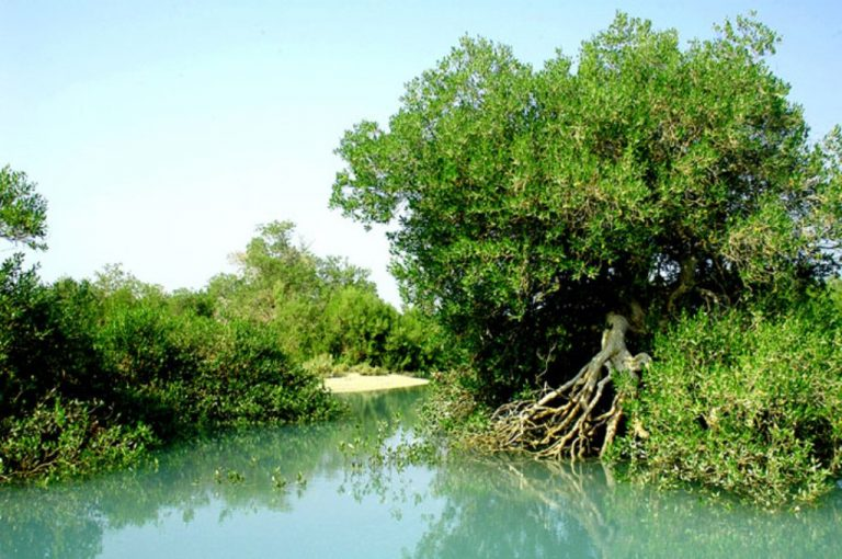 زیباترین جاذبههای گردشگری چابهار