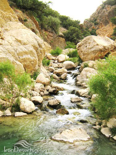 تنگه سرسبز و بکر دم اسب / آبشار و تنگه دم اسب در فارس