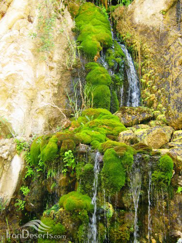 تنگه سرسبز و بکر دم اسب / آبشار و تنگه دم اسب در فارس