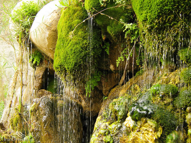 تنگه سرسبز و بکر دم اسب / آبشار و تنگه دم اسب در فارس