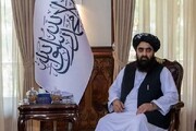 مذاکرات طالبان با آمریکا مثبت بوده است