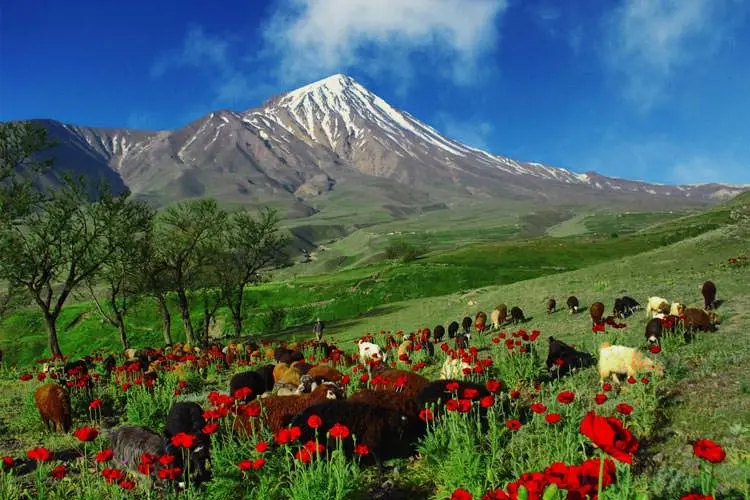 چشم‌اندازی خیره‌کننده از دامنه‌های کوه دماوند / دلفریبی دامنه‌های طبیعی در تهران