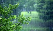 هشدار مهم هواشناسی برای این استان ها / آغاز بارش باران از فردا ۱۸ مرداد تا چند روزآینده