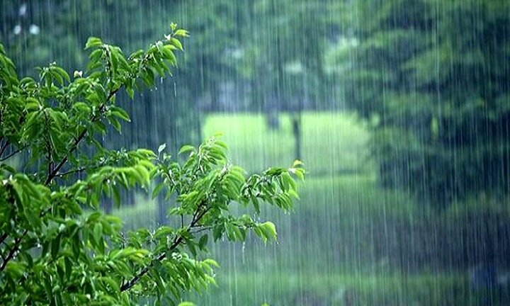 پیش بینی هواشناسی ۱۸ مرداد ۱۴۰۲ / بارش باران و رعد و برق در این استان ها