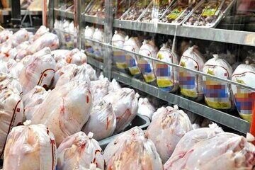 کاهش شدید قیمت مرغ در بازار | قیمت مرغ در مغازه ها نصف شد! | قیمت روز مرغ چند شد؟