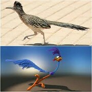 پرنده کارتون «میگ‌میگ» در دنیای واقعی + فیلم