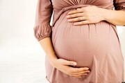 بارداری همزمان ۶ زن جوان از یک پیرمرد + عکس شوکه کننده
