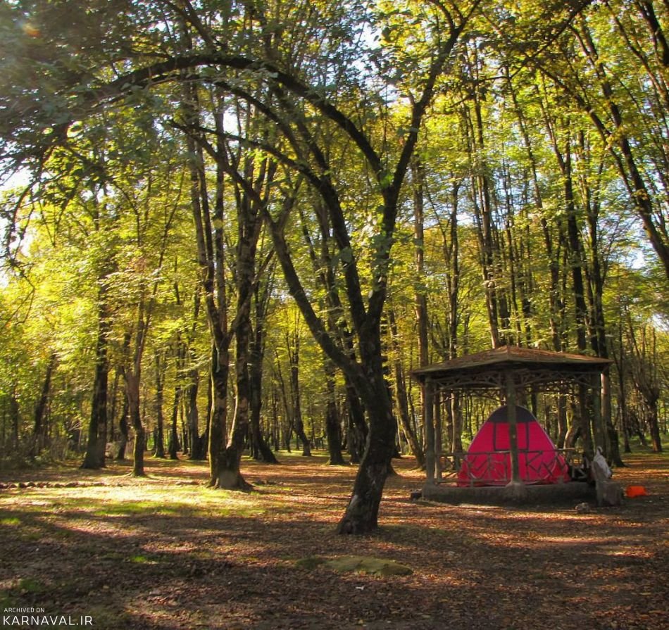سفر به دل آرامش و جلوه‌های طبیعت در پارک جنگلی سی سنگان