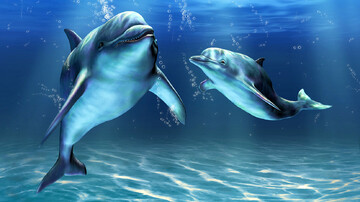 نجات معجزه آسای بچه دلفین در ساحل! + فیلم