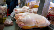 کاهش چشمگیر قیمت مرغ در بازار