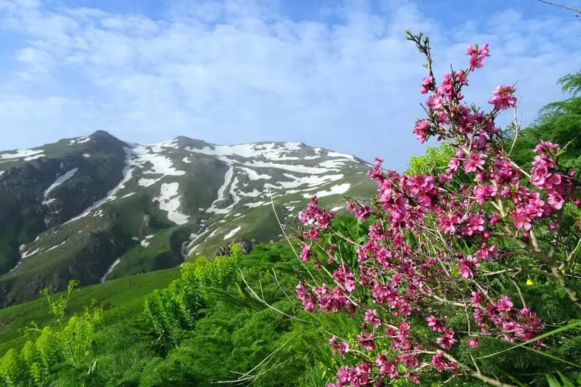 بازدید از کوه چهل چشمه در کردستان