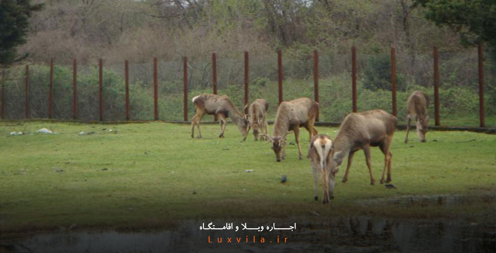 زیباترین باغ دوران قاجار در گیلان / باغ ملی آستارا؛ جاذبهای دیدنی و جالب