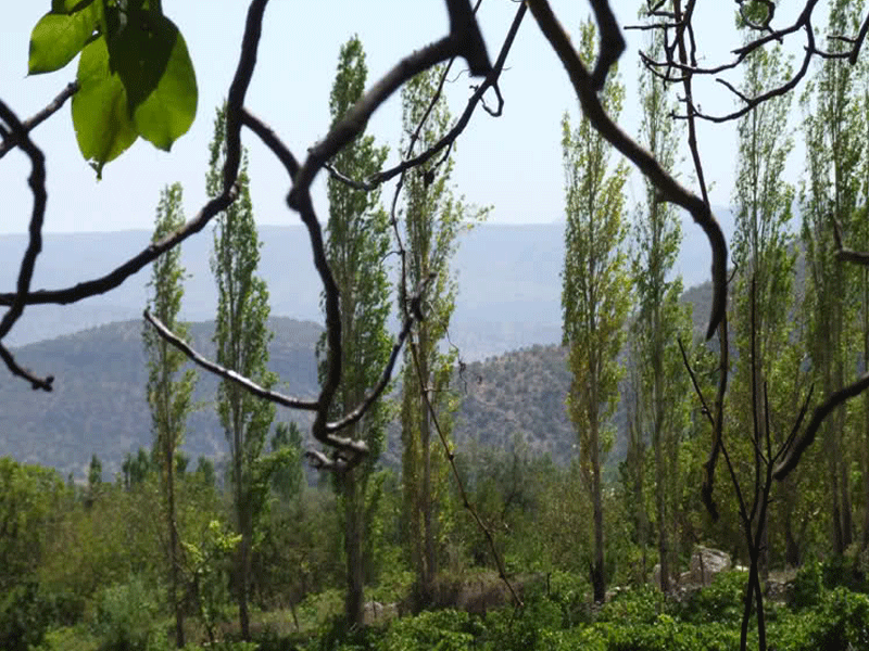 دیدنیترین جاذبه یاسوج / تنگ گنجه ای؛ جاذبهای بکر و تماشایی