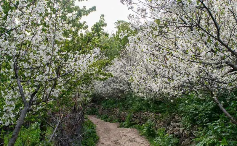 روستاگردی در روستای آهار تهران