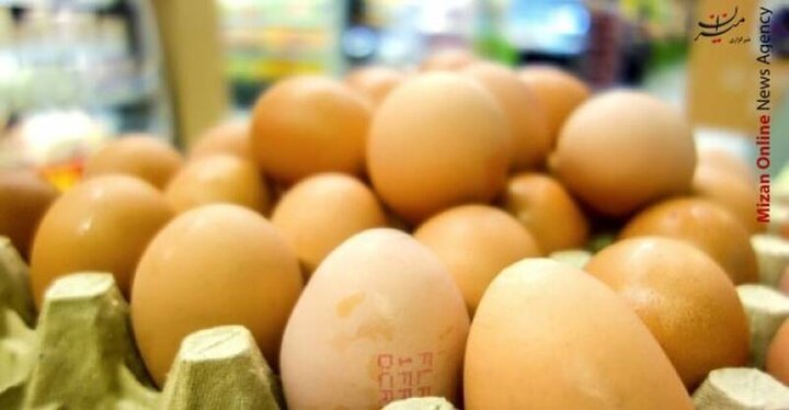  افزایش ناگهانی قیمت تخم‌مرغ در بازار / ماجرا چیست؟