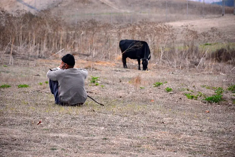 روستاگردی در روستای داماش رودبار