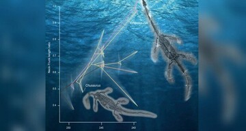 هیولای دریایی ۲۵۰ میلیون ساله در در دریاهای چین کشف شد + عکس