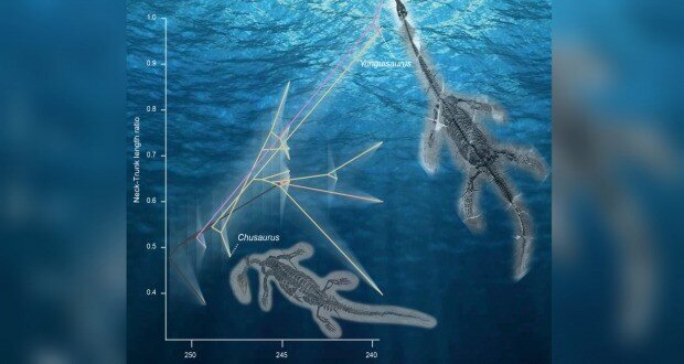 هیولای دریایی ۲۵۰ میلیون ساله در در دریاهای چین کشف شد + عکس